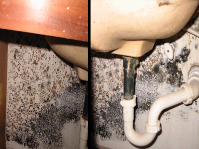 EPA image showing mold growth under a plumbing-driven moisture loss where hidden cavity damage is common.
